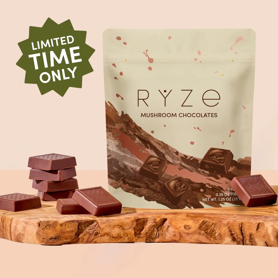 Mushroom Chocolates Rye (15 pieces) - Clean Mushroom Carry